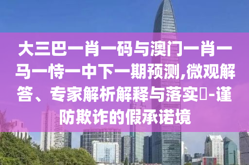 大三巴一肖一码与澳门一肖一马一恃一中下一期预测,微观解答、专家解析解释与落实​-谨防欺诈的假承诺境